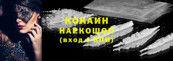 ECSTASY Алзамай