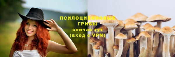 прущий лед Алексеевка