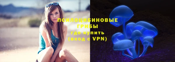 прущий лед Алексеевка