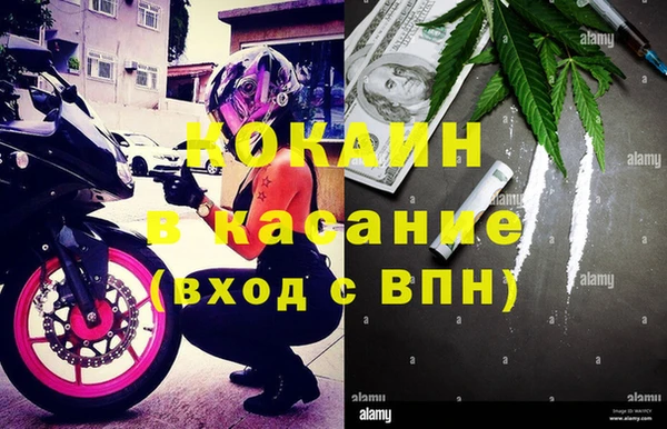 твердый Алексин
