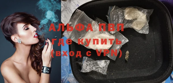 ECSTASY Алзамай