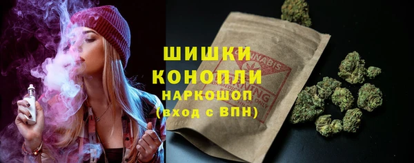 твердый Алексин