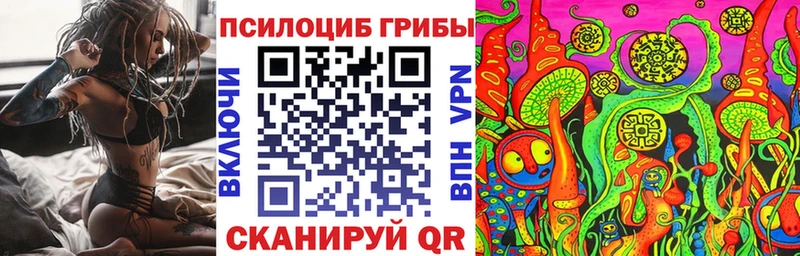 Галлюциногенные грибы GOLDEN TEACHER где найти Амурск